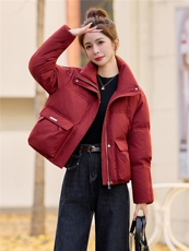 2025冬装新款时尚立领羽绒服，女装羽绒服，鑫鑫格