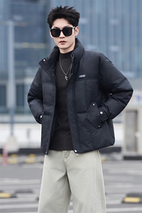 3777-M-3XL-P205标50绒社会小伙男士休闲立领百搭保暖羽绒服图片