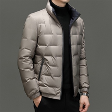 DF2373钱塘2020-2冬季厚款简约立领新款中年男士羽绒服P178，男装羽绒服，钱塘207-2