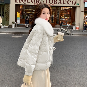 超好看蓝色短款羽绒服女2023冬季新款小个子加厚保暖白鸭绒外套潮图片