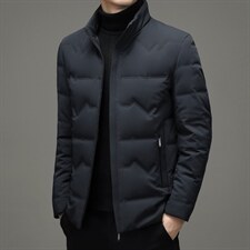 2023冬季新款立领羽绒服短款中年装加厚保暖纯色外套XX2188-P295，男装羽绒服，电商B212（原钱塘6029）