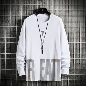男士长袖t恤秋季纯棉潮牌简约百搭潮流ins宽松体恤DS920T图片
