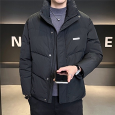 88579-L-4XL-P195标50绒店主风冬季男士休闲百搭羽绒服男，男装羽绒服，电商B255