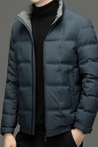 BEYR811钱塘2020-2中年男士冬季新款时尚立领百搭羽绒服P180图片