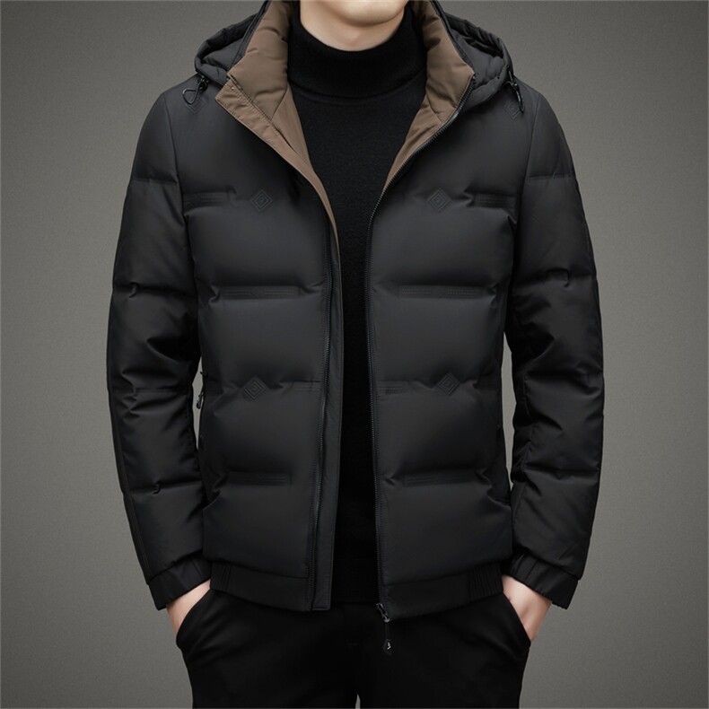 DZ8603钱塘2020-3中年男士时尚休闲简约有帽冬季厚款羽绒服P230,男装羽绒服,钱塘207-3