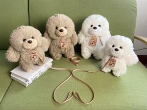 贵宾小犬（百个起售），童话毛绒