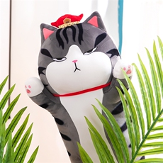 小马哥网供 长条唔煌猫