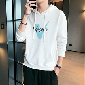 春秋季男士连帽印花长袖卫衣潮流宽松套头衫运动上衣服DF167T图片