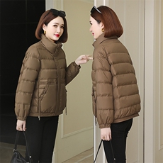 咖色