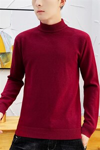 跑量款秋冬新款半高领针织衫毛衣男士流行套头403-1-M32-P20图片