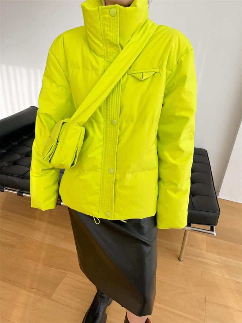 冬季新款包包羽绒服，女装羽绒服，LION&CAT(2F)