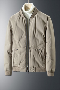 2024 冬季新款2210款立体剪裁50%灰鸭绒羽绒服 P95图片
