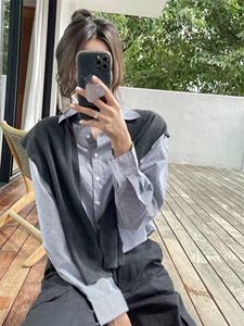 秋款衬衣两件套图片
