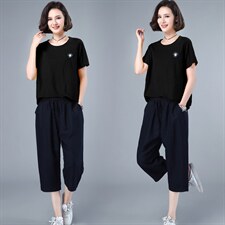 HANYU夏装新款两件套装女T恤小衫女小雏菊绣花点缀宽松显瘦，女装套装/套裙，涵誉