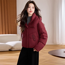 2025冬季新款简约时尚连帽羽绒服，女装羽绒服，阿丹