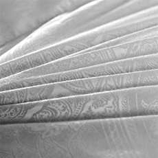 新款120支全棉提花95白鹅绒冬被，被套/被芯，一起卖家纺