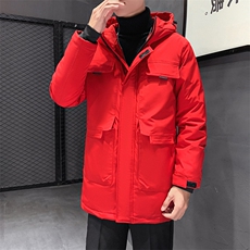 有版权连帽纯色班服团体情侣学生团建可印花羽绒服男士修身长款，男装羽绒服，星座301D-5(原星座1415）