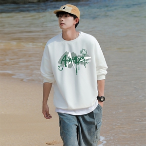 2633情侣印花圆领秋冬卫衣常规P28 加绒P38 S-5XL 支持定制班服潮图片