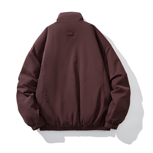 男士短款立领日系羽绒服外套 D213-2288-P350图片