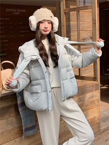 现货主推2025新款气质轻薄泡芙加厚保暖白鸭绒短款羽绒服女图片
