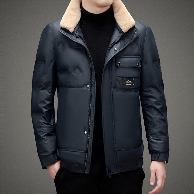 CAH2805钱塘2020-2冬季厚款时尚休闲简约百搭中年男士羽绒服P230图片
