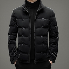 冬新新款羽绒服男立领中年男士休闲外套上衣爸爸装YYYR07863-P245，男装羽绒服，电商B212（原钱塘6029）