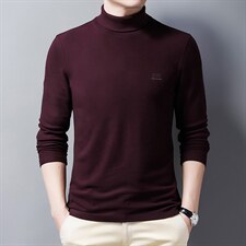 2023新款长袖t恤男双面绒卫衣春秋季polo衫中年潮流时尚衣服，男装卫衣，电商B212（原钱塘6029）