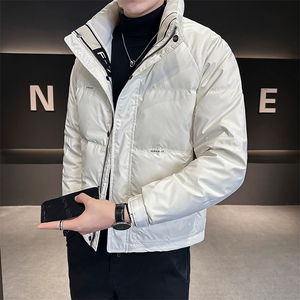 店主风时尚立领短款羽绒服男冬季保暖外套 B328-2262-P165图片