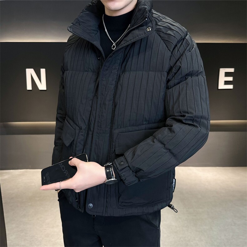 2025冬季新款羽绒服男立领白鸭绒保暖外套休闲 B317/58088/P175图片