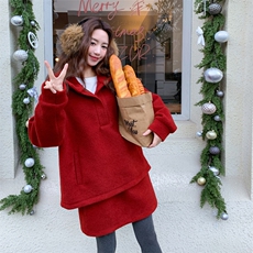 圣诞红