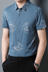 F67018男式2023年夏季新款衬衫男短袖休闲衬衣P75图片