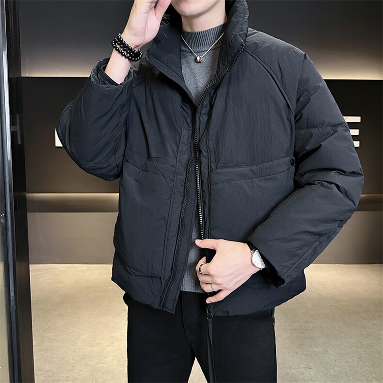 90新标2025设计款加厚保暖立领简约宽松羽绒服外套8821-P295,男装羽绒服,电商A413
