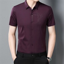 爱爸爸中年夏季薄款短袖衬衣男装爸爸夏装衬衫男士中老年人上衣,男装衬衫,电商B212（原钱塘6029）