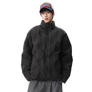 主推 90白鸭绒羽绒服  情侣款立领上衣 225-2-Y205-P255图片