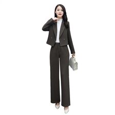 2020冬季时尚百搭复古两件套通勤气质翻领女，女装套装/套裙，贵人树