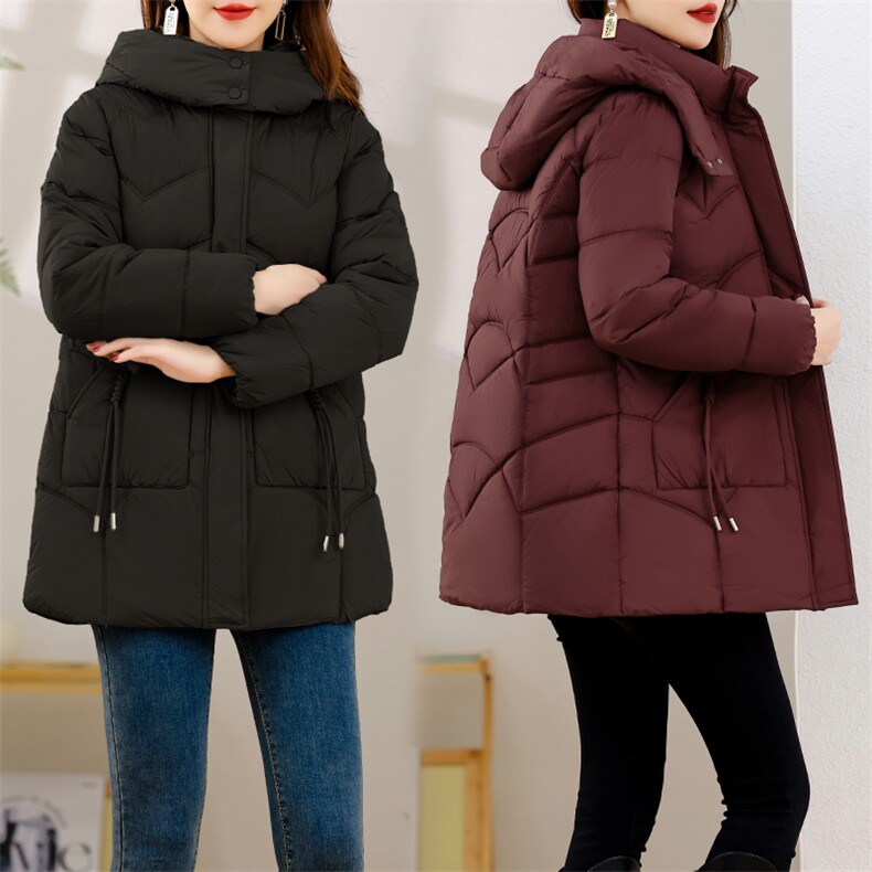 2024年冬季通勤舒适简约大方连帽羽绒棉服,女装棉衣/棉服,多彩