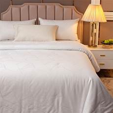 新款60支全棉提花夏被春秋被，被套/被芯，一起卖家纺