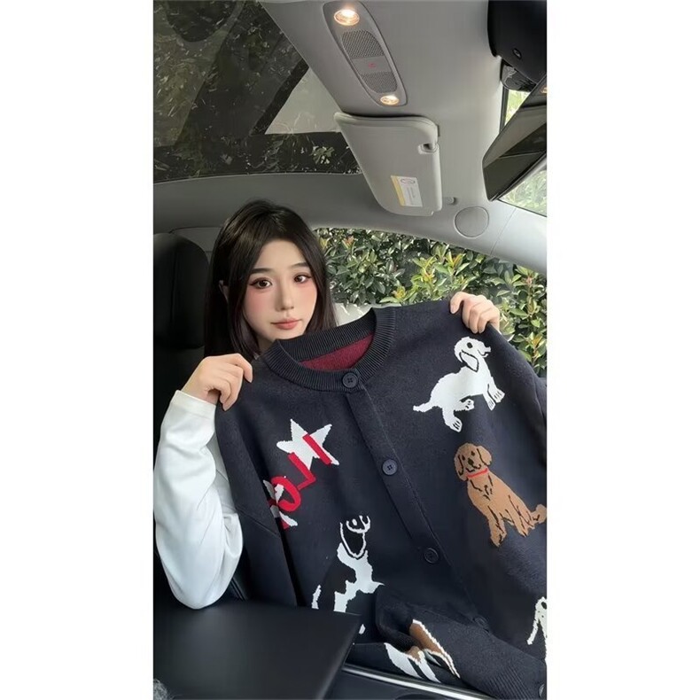 X054-P632025美式趣味小狗卡通灰色圆领针织衫开衫秋季宽松,男装针织衫/毛衣,电商B323A