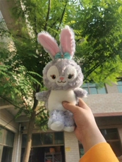 小乐毛绒玩具 星露露
