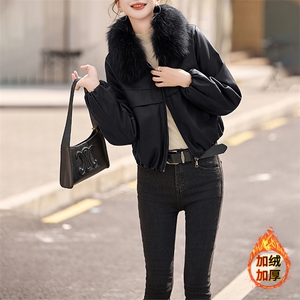 安可拉红加绒加厚短款皮衣外套女款2024冬季新款真毛领皮棉服夹克图片