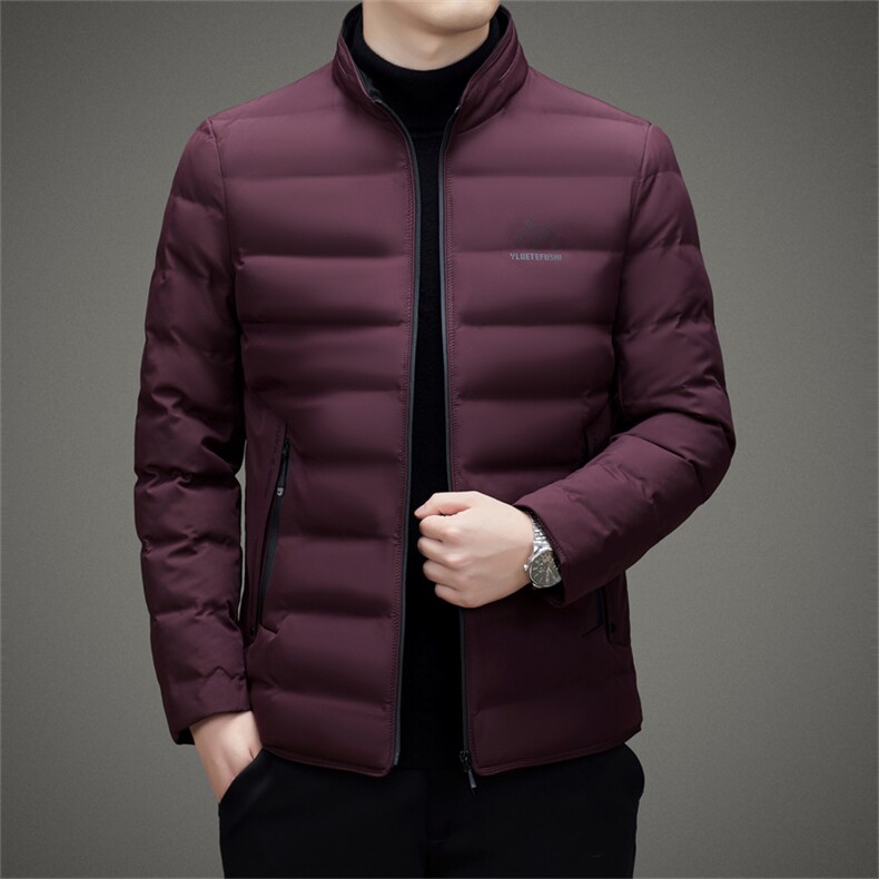中年立领休闲羽绒服冬季新款男士加厚保暖白鸭绒外套上衣爸爸装图片