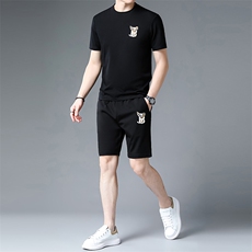 C231117钱塘2020-2夏季新款男士休闲运动套装时尚潮流两件套P116，男装休闲套装，钱塘207-2