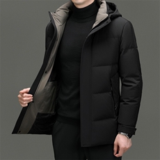 DF2386钱塘2020-2新款百搭简约有帽厚款中年男士羽绒服P273，男装羽绒服，钱塘207-2