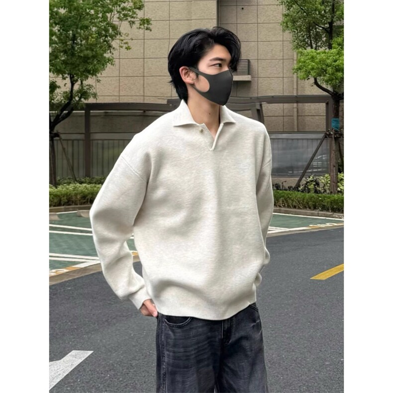 翻领纯色针织打底衫保暖毛线衣青年2025秋季新款男套头毛衣图片