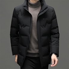 冬季新款男士立领御寒羽绒服2022中年休闲男装加厚保暖白鸭绒外套，男装羽绒服，电商B212（原钱塘6029）