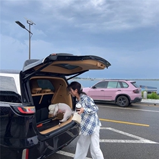 蓝白斜纹格子防晒衬衫女2026年春夏季新款宽松长袖早秋外搭上，男装防晒衣，星座218-1（原230）