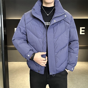 90%标白鸭绒2025冬季立领休闲短款加厚羽绒服外套M8752-P290