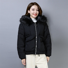 休闲时尚短款拉链连帽棉衣/棉服宽松2020年冬季修身显瘦，女装棉衣/棉服，小林双子