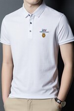 夏季新款男士翻领短袖t恤中年有领男装上衣服休闲POLO衫，男装T恤，电商B212（原钱塘6029）