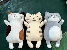 峰岚毛绒玩具厂 趴猫